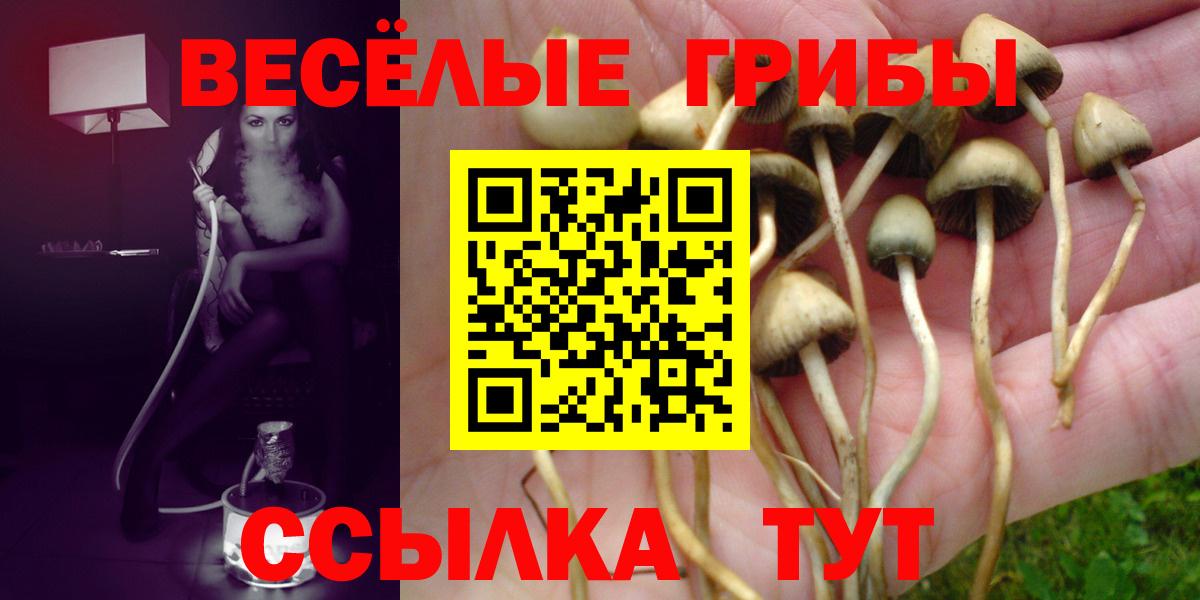 Псилоцибиновые грибы Magic Shrooms  Вход с VPN  Удомля 
