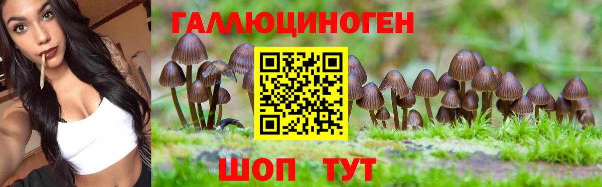 Галлюциногенные грибы мицелий Удомля