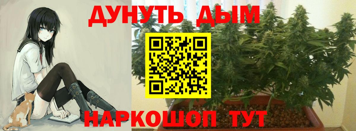 Марихуана конопля Удомля